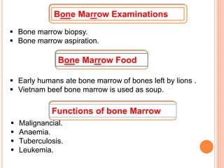 Bone Marrow Examinations
 Bone marrow biopsy.
 Bone marrow aspiration.
 Early humans ate bone marrow of bones left by lions .
 Vietnam beef bone marrow is used as soup.
Functions of bone Marrow
 Malignancial.
 Anaemia.
 Tuberculosis.
 Leukemia.
Bone Marrow Food
 