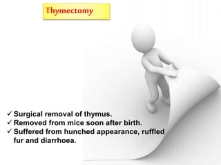 Thymectomy
 Surgical removal of thymus.
 Removed from mice soon after birth.
 Suffered from hunched appearance, ruffled
fur and diarrhoea.
 