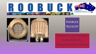 ROOBUCK
“BUCKLITE”
Flameproof LED Headlight
& WorkLight for
Underground Mine Vehicles
 