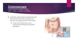 Chaptern 8: Digestive System | PPT