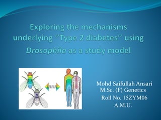 Mohd Saifullah Ansari
M.Sc. (F) Genetics
Roll No. 15ZYM06
A.M.U.
 