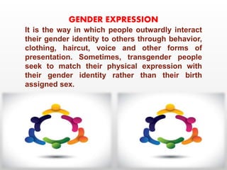 Gender;gender identity;gender expression;gender stereotyping;gender ...