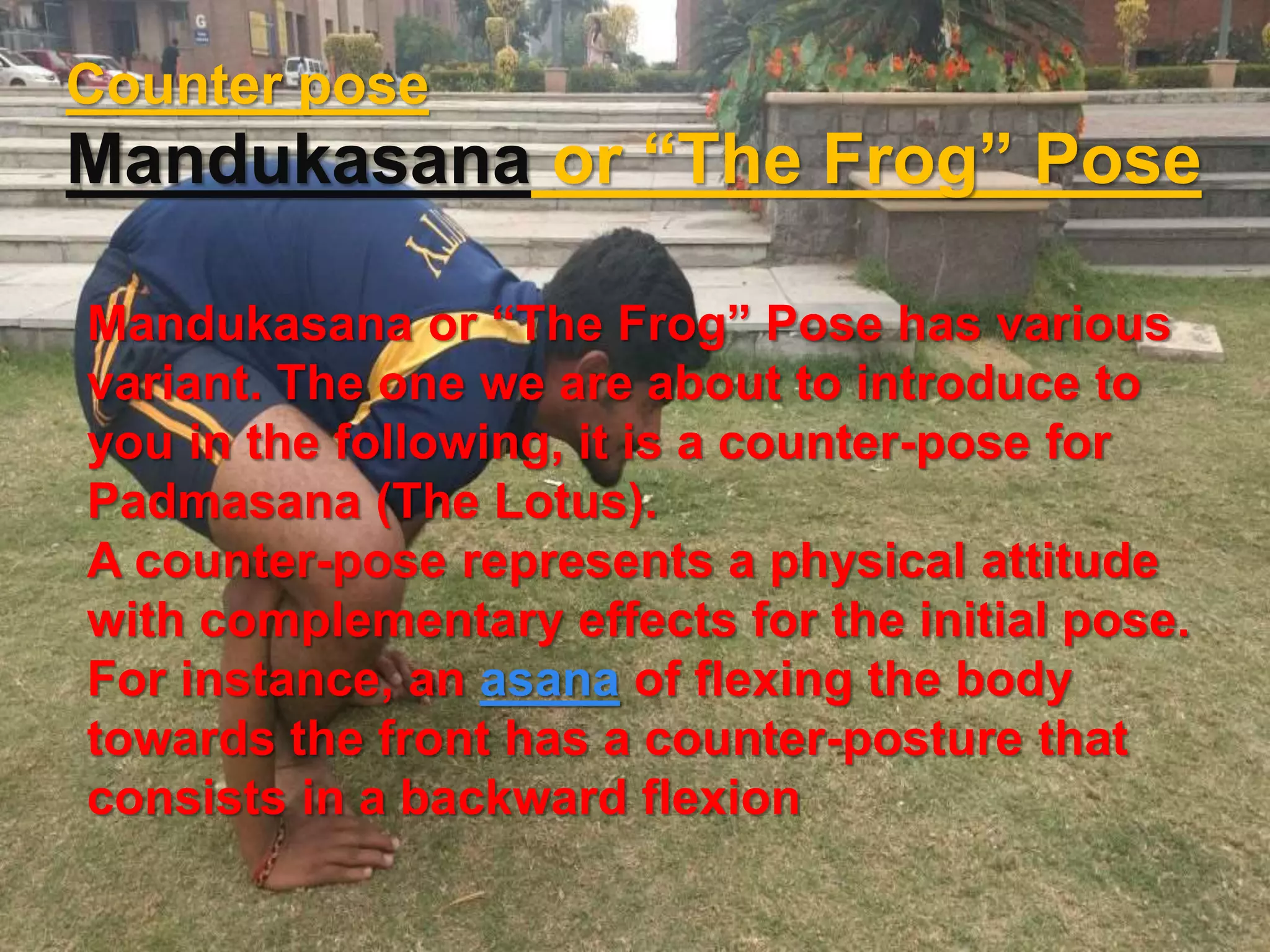 Counter pose
Mandukasana or “The Frog” Pose
Mandukasana or “The Frog” Pose has various
variant. The one we are about to introduce to
you in the following, it is a counter-pose for
Padmasana (The Lotus).
A counter-pose represents a physical attitude
with complementary effects for the initial pose.
For instance, an asana of flexing the body
towards the front has a counter-posture that
consists in a backward flexion
 