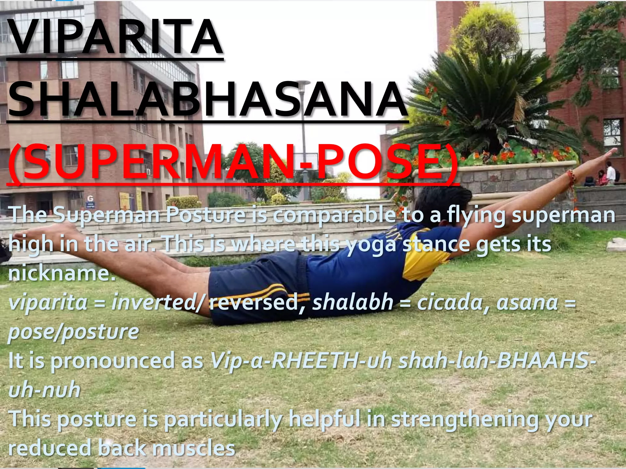 VIPARITA
SHALABHASANA
(SUPERMAN-POSE)
The Superman Posture is comparable to a flying superman
high in the air.This is where this yoga stance gets its
nickname.
viparita = inverted/ reversed, shalabh = cicada, asana =
pose/posture
It is pronounced as Vip-a-RHEETH-uh shah-lah-BHAAHS-
uh-nuh
This posture is particularly helpful in strengthening your
reduced back muscles
 