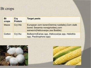Bt crops
Bt
crops
Cry
Protein
Target pests
Maize Cry1Ab European corn borer(Ostrinia nubilalis),Corn stalk
borer( Sesamia nonagrioides),corn
earworm(Helicoverpa zea Boddie)
Cotton Cry1Ac Bollworm(Earias spp ,Helicoverpa spp, Heliothis
spp, Pectinophora spp)
 