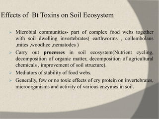 Effects of Bt Toxins on Soil Ecosystem
 Microbial communities- part of complex food webs together
with soil dwelling invertebrates( earthworms , collembolans
,mites ,woodlice ,nematodes )
 Carry out processes in soil ecosystem(Nutrient cycling,
decomposition of organic matter, decomposition of agricultural
chemicals , improvement of soil structure).
 Mediators of stability of food webs.
 Generally, few or no toxic effects of cry protein on invertebrates,
microorganisms and activity of various enzymes in soil.
 