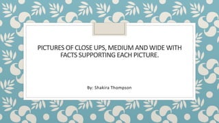 PICTURES OF CLOSE UPS, MEDIUM AND WIDE WITH
FACTS SUPPORTING EACH PICTURE.
By: Shakira Thompson
 