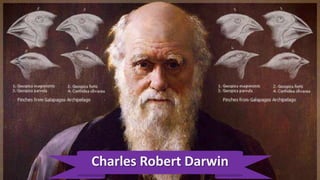 Charles Robert Darwin
