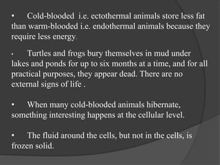 • Cold-blooded i.e. ectothermal animals store less fat
than warm-blooded i.e. endothermal animals because they
require less energy.
• Turtles and frogs bury themselves in mud under
lakes and ponds for up to six months at a time, and for all
practical purposes, they appear dead. There are no
external signs of life .
• When many cold-blooded animals hibernate,
something interesting happens at the cellular level.
• The fluid around the cells, but not in the cells, is
frozen solid.
 