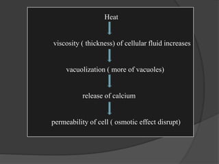 Heat
viscosity ( thickness) of cellular fluid increases
vacuolization ( more of vacuoles)
release of calcium
permeability of cell ( osmotic effect disrupt)
 