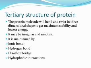 Tertiary structure of protein
 The protein molecule will bend and twist in three
dimensional shape to get maximum stability and
lowest energy.
 It may be irregular and random.
 It is maintained by
Ionic bond
Hydrogen bond
Disulfide bridge
Hydrophobic interactions
 