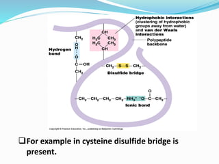 For example in cysteine disulfide bridge is
present.
 
