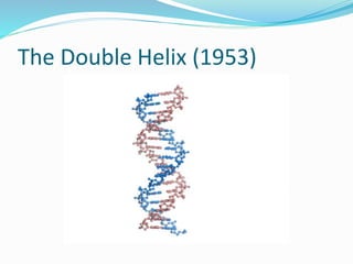 The Double Helix (1953)
 
