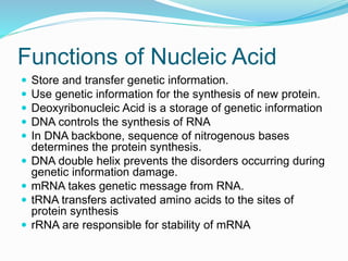 Functions of Nucleic Acid
 Store and transfer genetic information.
 Use genetic information for the synthesis of new protein.
 Deoxyribonucleic Acid is a storage of genetic information
 DNA controls the synthesis of RNA
 In DNA backbone, sequence of nitrogenous bases
determines the protein synthesis.
 DNA double helix prevents the disorders occurring during
genetic information damage.
 mRNA takes genetic message from RNA.
 tRNA transfers activated amino acids to the sites of
protein synthesis
 rRNA are responsible for stability of mRNA
 