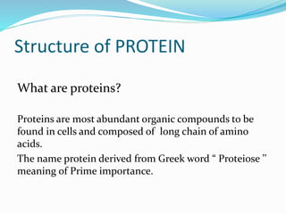 Structure of PROTEIN
What are proteins?
Proteins are most abundant organic compounds to be
found in cells and composed of long chain of amino
acids.
The name protein derived from Greek word “ Proteiose ’’
meaning of Prime importance.
 