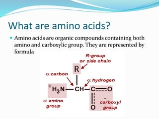 What are amino acids?
 Amino acids are organic compounds containing both
amino and carboxylic group. They are represented by
formula
 