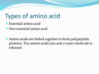 Types of amino acid
 Essential amino acid
 Non essential amino acid
 Amino acids are linked together to form polypeptide
proteins. Two amino acids join and a water molecule is
released.
 