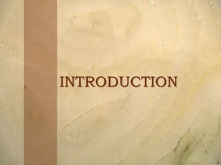 3
INTRODUCTION
 