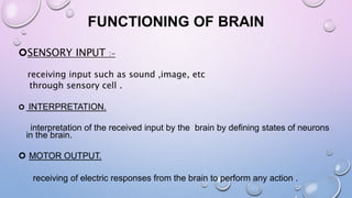 BLUE BRAIN TECHNOLOGY | PPTX