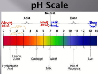 pH and [H+]