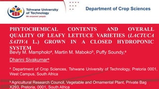 Faculty of Science
Department Horticulture
1
Department of Crop Sciences
PHYTOCHEMICAL CONTENTS AND OVERALL
QUALITY OF LEAFY LETTUCE VARIETIES (LACTUCA
SATIVA L.) GROWN IN A CLOSED HYDROPONIC
SYSTEM
Bevly M. Mampholoa, Martin M. Mabokob, Puffy Soundy,a
Dharini Sivakumara
a Department of Crop Sciences, Tshwane University of Technology, Pretoria 0001,
West Campus, South Africa
b Agricultural Research Council, Vegetable and Ornamental Plant, Private Bag
X293, Pretoria, 0001, South Africa
 