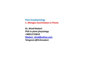 Plant Ecophysiology
1. Nitrogen Assimilation in Plants
Dr. Ahad Madani
PhD in plant physiology
+98912710819
Madani_ahad@yahoo.com
Telegram:@DrAmadani
 