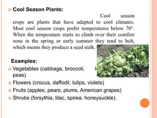Role of Temperature for Horticulture Plant Production | PPTX