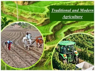 Traditional and Modern
Agriculture
 