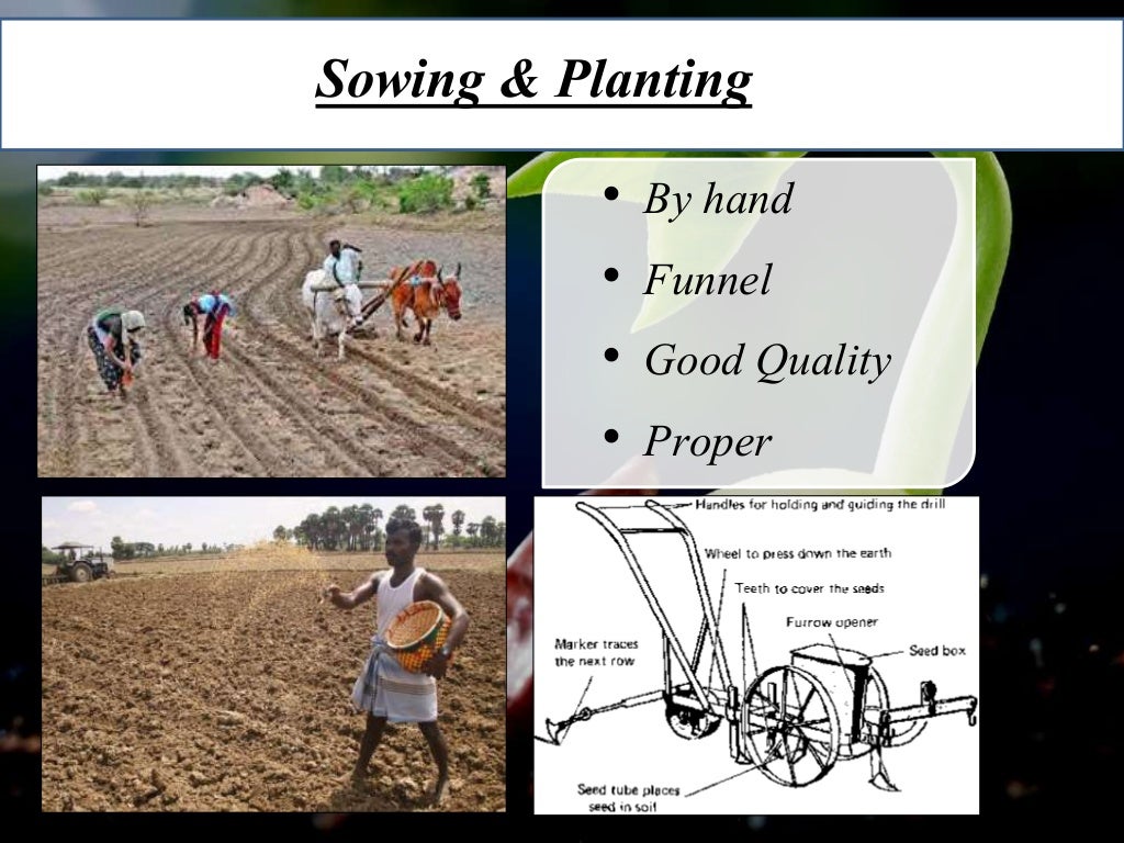 Traditional And Modern Agriculture traditional-and-modern-agriculture