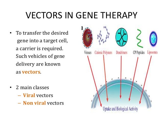 Non viral vectors for gene therapy ppt