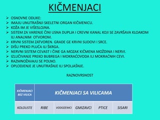 KIČMENJACI
 OSNOVNE ODLIKE:
 IMAJU UNUTRAŠNJI SKELETNI ORGAN KIČMENICU.
 KOŽA IM JE VIŠESLOJNA.
 SISTEM ZA VARENJE ČINI USNA DUPLJA I CREVNI KANAL KOJI SE ZAVRŠAVA KLOAKOM
ILI ANALNIM OTVOROM.
 KRVNI SISTEM ZATVOREN. GRADE GE KRVNI SUDOVI I SRCE.
 DIŠU PREKO PLUĆA ILI ŠKRGA.
 NERVNI SISTEM CEVAST I ČINE GA MOZAK KIČMENA MOŽDINA I NERVI.
 IZLUČIVANJE PREKO BUBREGA I MOKRAĆOVODA ILI MOKRAĆNIH CEVI.
 RAZMNOŽAVAJU SE POLNO.
 OPLODJENJE JE UNUTRAŠNJE ILI SPOLJAŠNJE.
RAZNOVRSNOST
KIČMENJACI
BEZ VILICA KIČMENJACI SA VILICAMA
KOLOUSTE RIBE VODOZEMCI GMIZAVCI PTICE SISARI
 