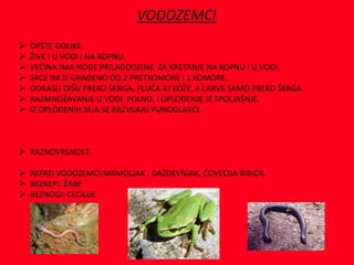 VODOZEMCI
 OPŠTE ODLIKE:
 ŽIVE I U VODI I NA KOPNU.
 VEĆINA IMA NOGE PRILAGODJENE ZA KRETANJE NA KOPNU I U VODI.
 SRCE IM JE GRAĐENO OD 2 PRETKOMORE I 1 KOMORE.
 ODRASLI DIŠU PREKO ŠKRGA, PLUĆA ILI KOŽE, A LARVE SAMO PREKO ŠKRGA.
 RAZMNOŽAVANJE U VODI. POLNO, I OPLOĐENJE JE SPOLJAŠNJE.
 IZ OPLOĐENIH JAJA SE RAZVIJAJU PUNOGLAVCI.
 RAZNOVRSNOST:
 REPATI VODOZEMCI:MRMOLJAK , DAŽDEVNJAK, ČOVEČIJA RIBICA.
 BEZREPI: ŽABE
 BEZNOGI: CECILIJE
 