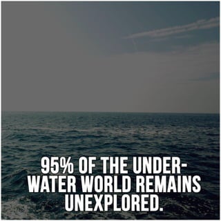 Twelve Interesting Facts