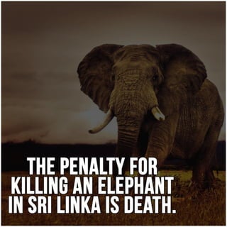 Twelve Interesting Facts