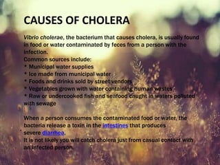 CAUSES OF CHOLERA
Vibrio cholerae, the bacterium that causes cholera, is usually found
in food or water contaminated by feces from a person with the
infection.
Common sources include:
* Municipal water supplies
* Ice made from municipal water
* Foods and drinks sold by street vendors
* Vegetables grown with water containing human wastes
* Raw or undercooked fish and seafood caught in waters polluted
with sewage
When a person consumes the contaminated food or water, the
bacteria release a toxin in the intestines that produces
severe diarrhea.
It is not likely you will catch cholera just from casual contact with
an infected person.
 