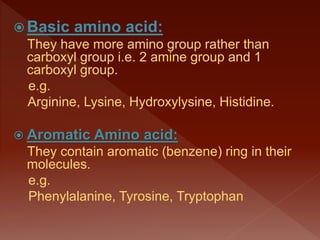  Basic amino acid:
They have more amino group rather than
carboxyl group i.e. 2 amine group and 1
carboxyl group.
e.g.
Arginine, Lysine, Hydroxylysine, Histidine.
 Aromatic Amino acid:
They contain aromatic (benzene) ring in their
molecules.
e.g.
Phenylalanine, Tyrosine, Tryptophan
 