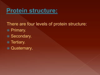 There are four levels of protein structure:
 Primary.
 Secondary.
 Tertiary.
 Quaternary.
 