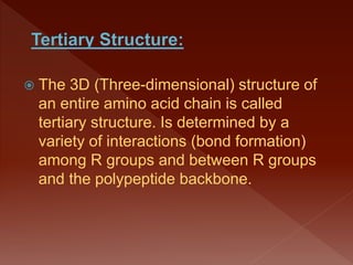  The 3D (Three-dimensional) structure of
an entire amino acid chain is called
tertiary structure. Is determined by a
variety of interactions (bond formation)
among R groups and between R groups
and the polypeptide backbone.
 