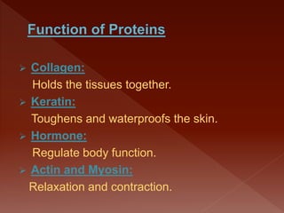  Collagen:
Holds the tissues together.
 Keratin:
Toughens and waterproofs the skin.
 Hormone:
Regulate body function.
 Actin and Myosin:
Relaxation and contraction.
 