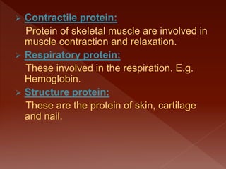  Contractile protein:
Protein of skeletal muscle are involved in
muscle contraction and relaxation.
 Respiratory protein:
These involved in the respiration. E.g.
Hemoglobin.
 Structure protein:
These are the protein of skin, cartilage
and nail.
 