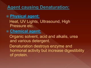  Physical agent:
Heat, UV Lights, Ultrasound, High
Pressure etc.
 Chemical agent:
Organic solvent, acid and alkalis, urea
and various detergent.
Denaturation destroys enzyme and
hormonal activity but increase digestibility
of protein.
 