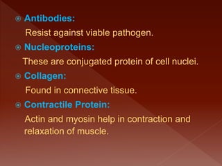  Antibodies:
Resist against viable pathogen.
 Nucleoproteins:
These are conjugated protein of cell nuclei.
 Collagen:
Found in connective tissue.
 Contractile Protein:
Actin and myosin help in contraction and
relaxation of muscle.
 