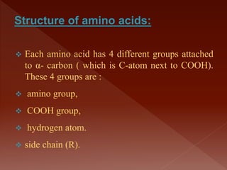  Each amino acid has 4 different groups attached
to α- carbon ( which is C-atom next to COOH).
These 4 groups are :
 amino group,
 COOH group,
 hydrogen atom.
 side chain (R).
 
