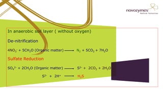 In anaerobic soil layer ( without oxygen)
De-nitrification
4NO3
- + 5CH2O (Organic matter) N2 + 5CO2 + 7H2O
Sulfate Reduction
SO4
2- + 2CH2O (Organic matter) S2- + 2CO2 + 2H2O
S2- + 2H+ H2S
 