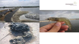 NOVOZYMES PRESENTATION22/06/201619
 