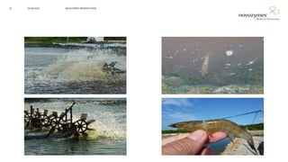 NOVOZYMES PRESENTATION22/06/201622
 