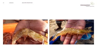 NOVOZYMES PRESENTATION22/06/201623
 