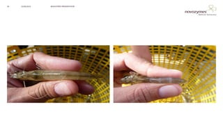 NOVOZYMES PRESENTATION22/06/201626
 