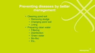 Preventing diseases by better
management
• Cleaning pond soil
• Removing sludge
• Changing pond soil
• Lining
• Preparing clean water
• Filtering
• Disinfection
• Green water
• Bio-floc
• Etc..
 