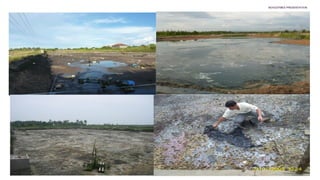 NOVOZYMES PRESENTATION
22/06/201628
 